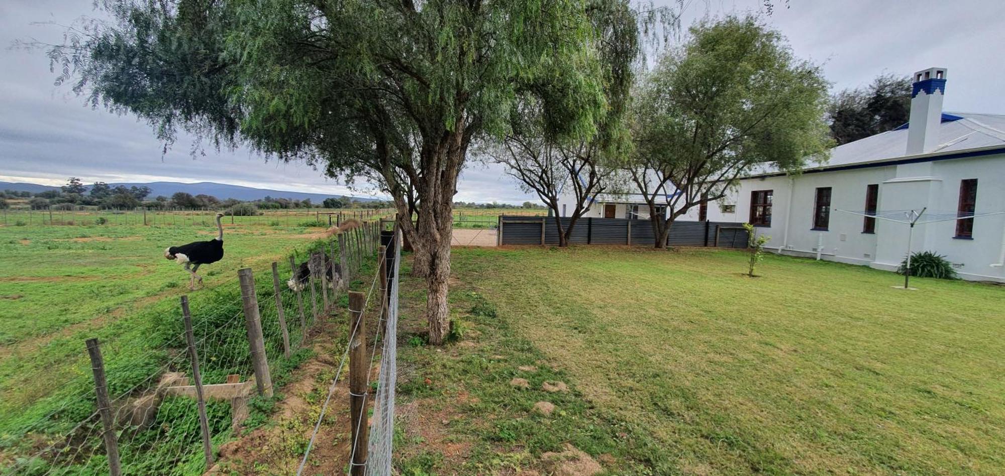 Вилла Karoo Leeu Self Catering Оудсхорн Экстерьер фото